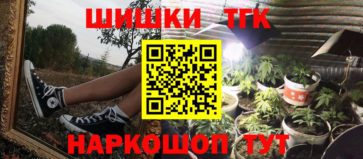 Бошки Шишки Губкинский
