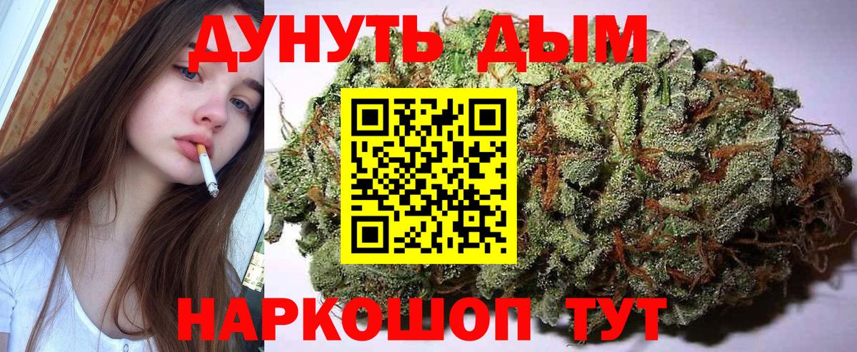 Конопля гибрид Губкинский